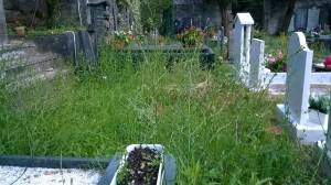 cimitero2