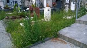 cimitero3