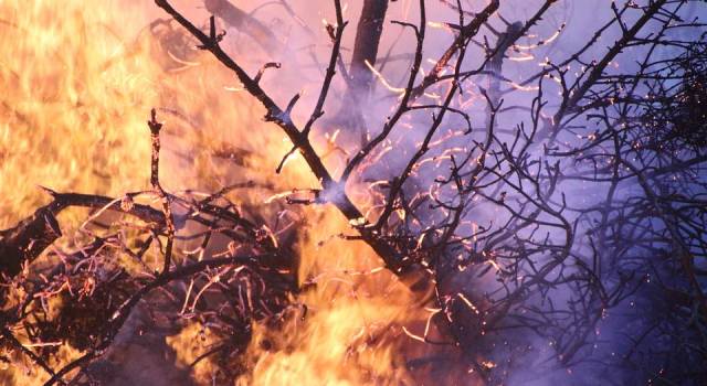 Incendio a Camaiore, in fiamme i boschi attorno a Nocchi