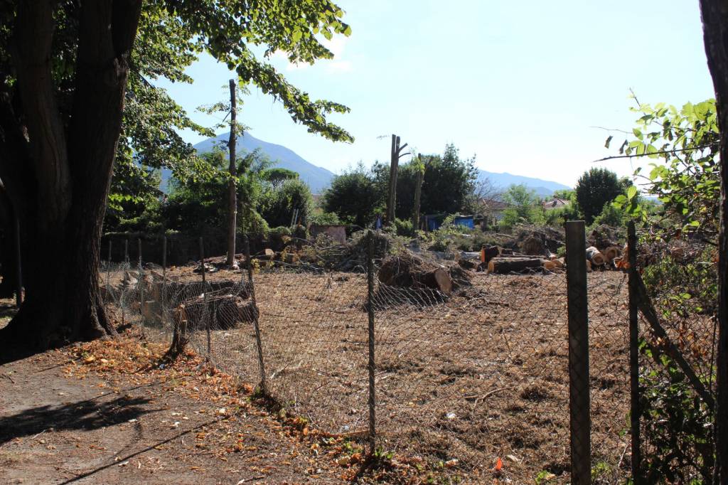 Foto pulizia terreno viale Apua 2