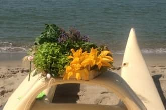 orto in spiaggia