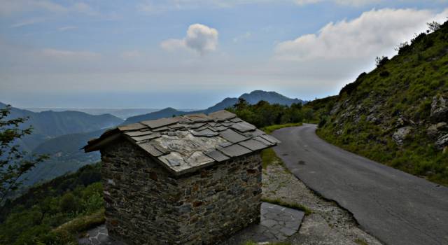 Il Sindaco di Stazzema sul Bilancio del Parco Regionale Alpi Apuane: “Un bilancio vuoto: si perdono delle opportunità che non torneranno” 