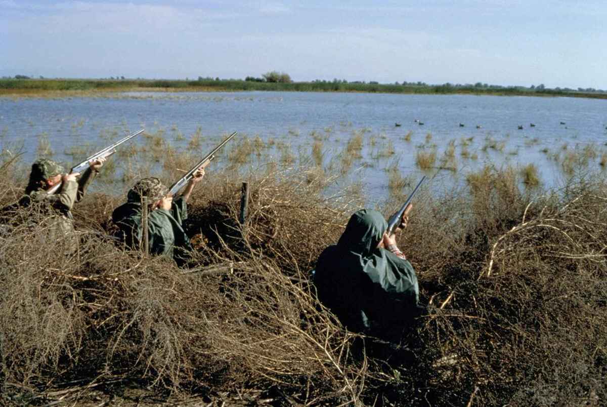caccia uccelli acquatici