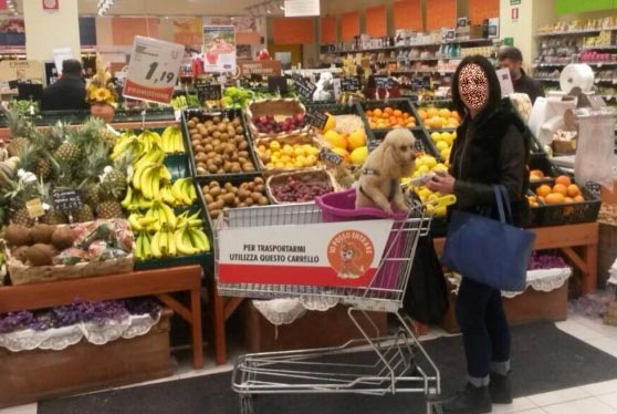 cani al supermercato