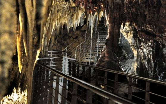 Boom di presenze alle Grotte Turistiche dell’Antro del Corchia