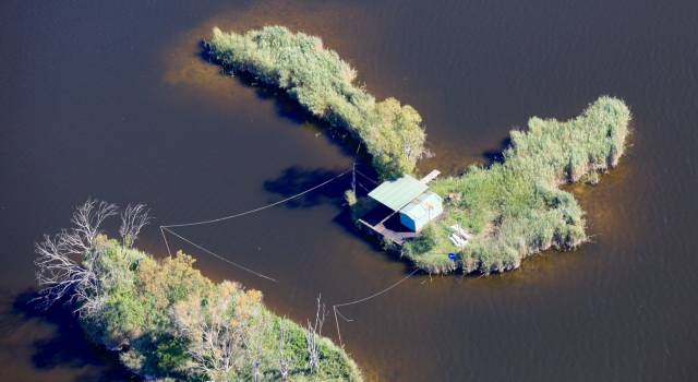 Crisi idrica: sospesi i prelievi dal lago di Massaciuccoli