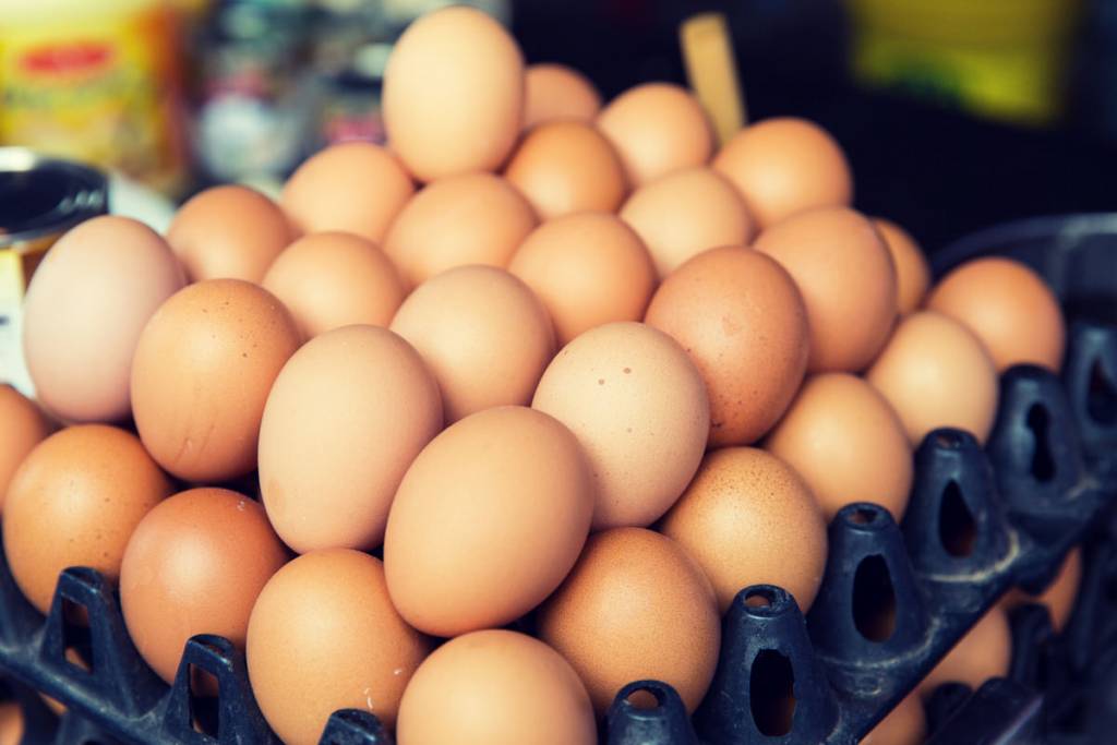 uova al fipronil