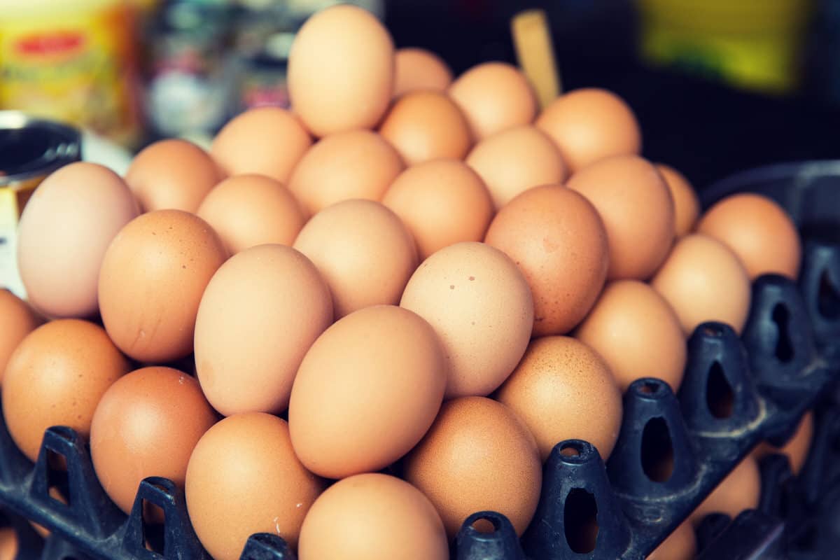 Uova al Fipronil, il punto di Coldiretti Toscana