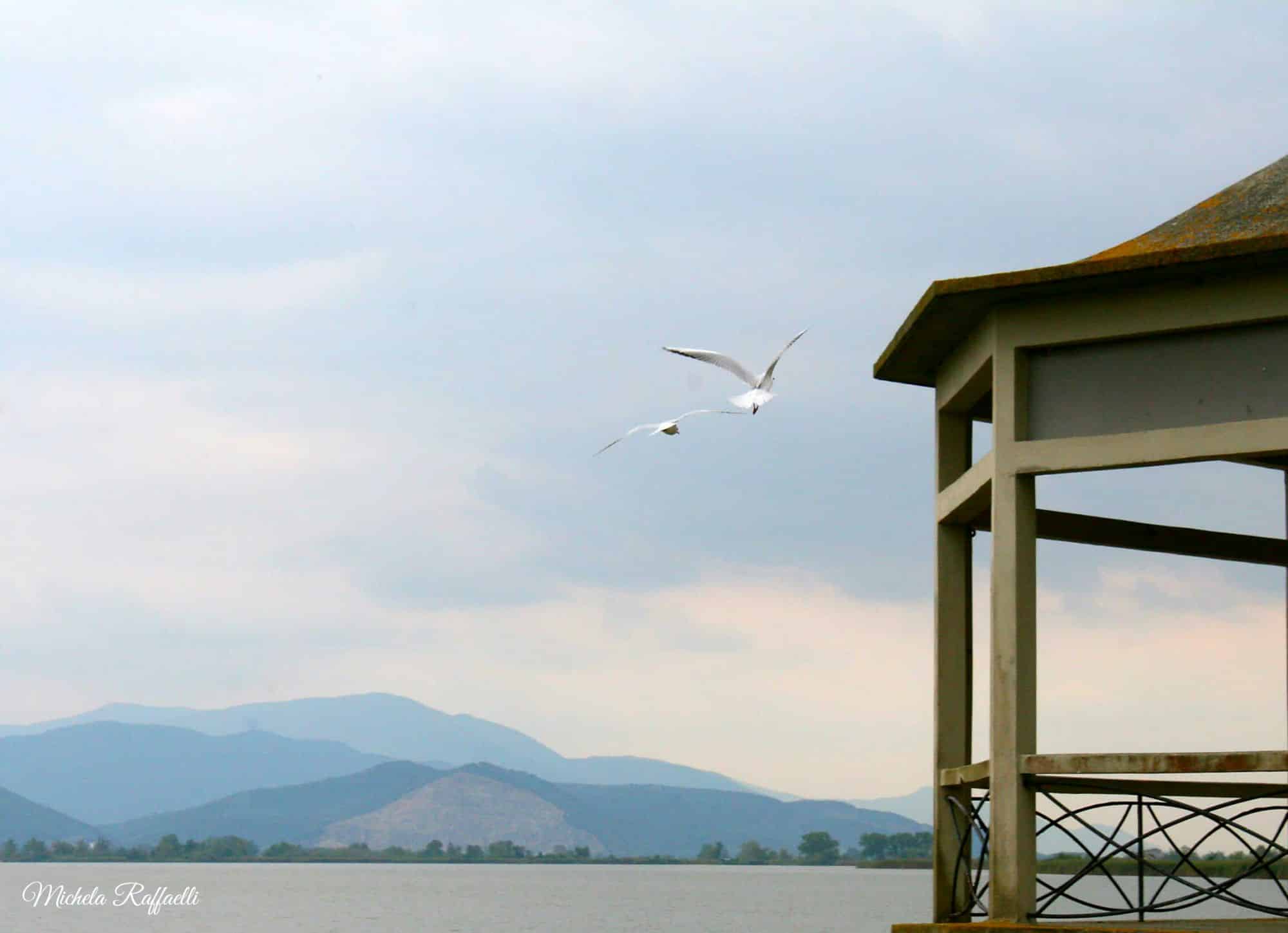 In volo sul lago