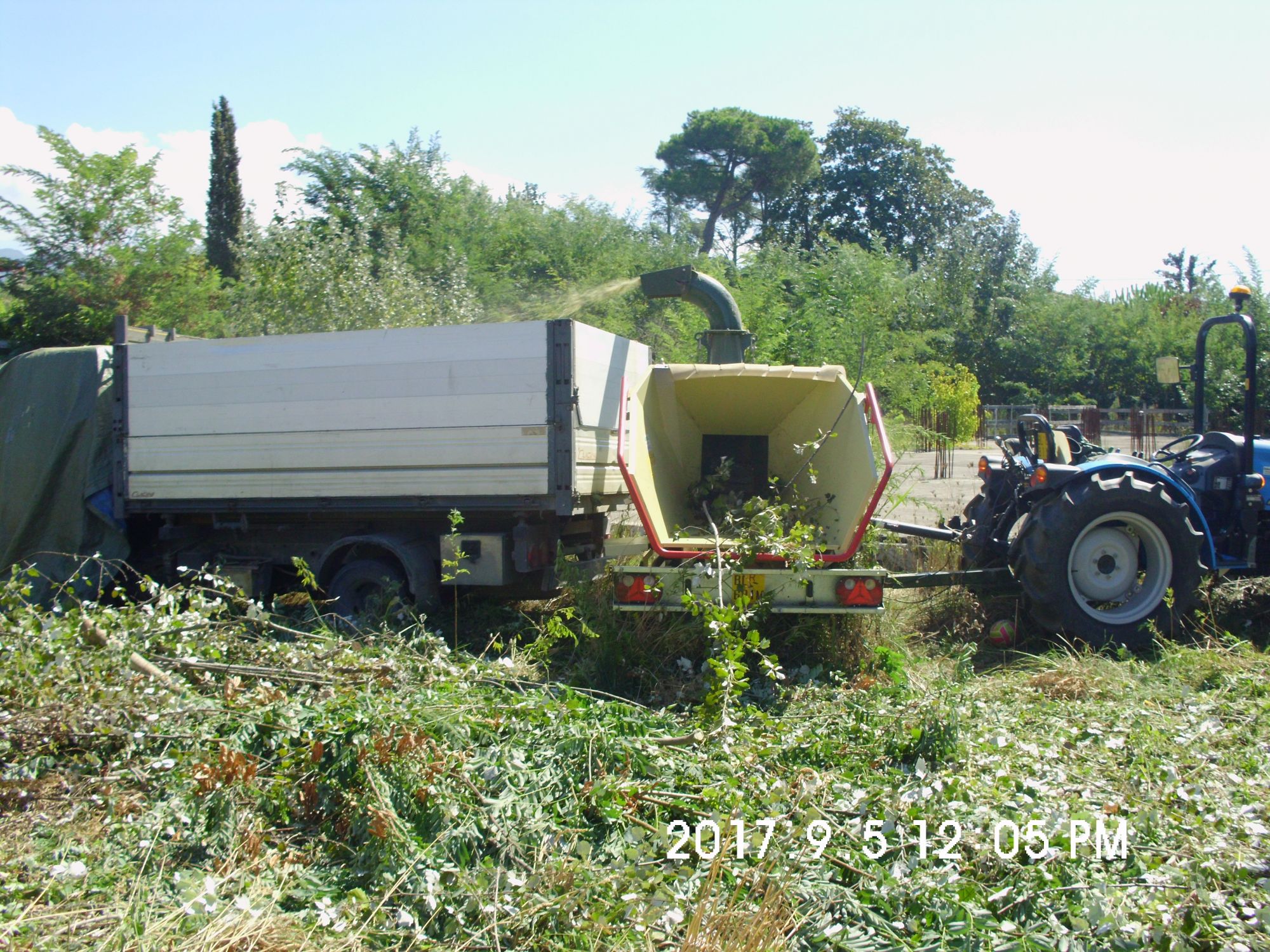 Avviata la bonifica del terreno di Via Carrara angolo via Donati abbandonato da anni