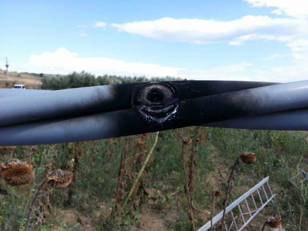 caccia sicura in versilia