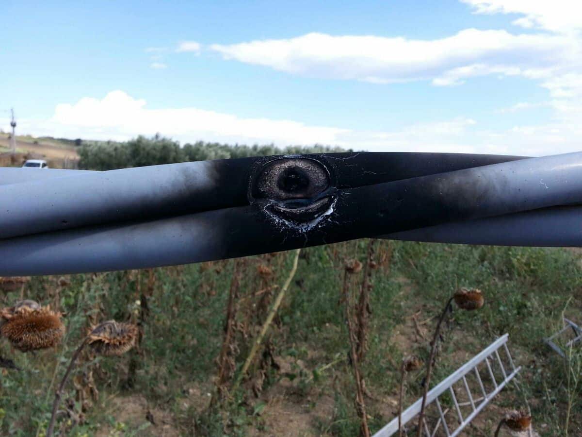 caccia sicura in versilia