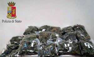 marijuana