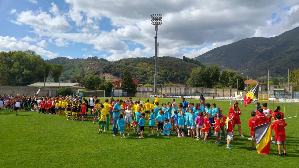 palio junior 2017 2