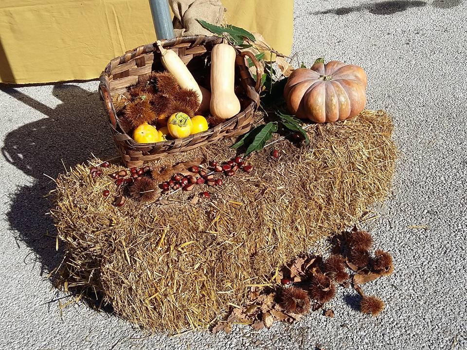 Fiera di San Francesco a Vittoria Apuana