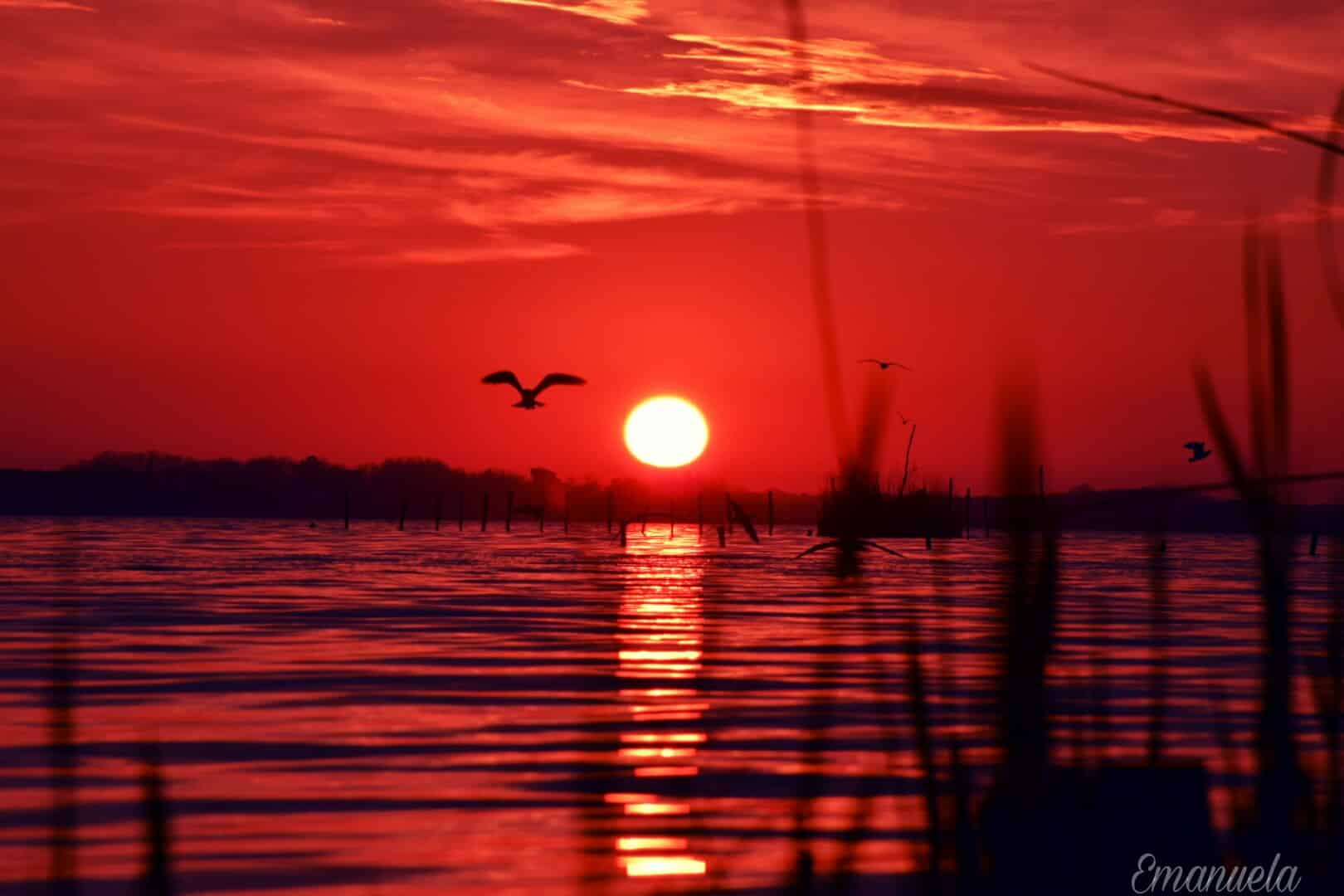 Tramonto sul Massaciuccoli