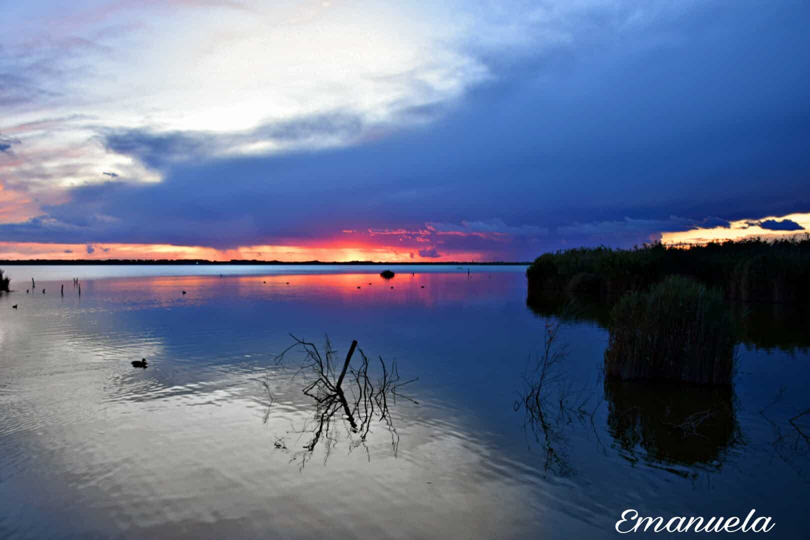 Colori del lago