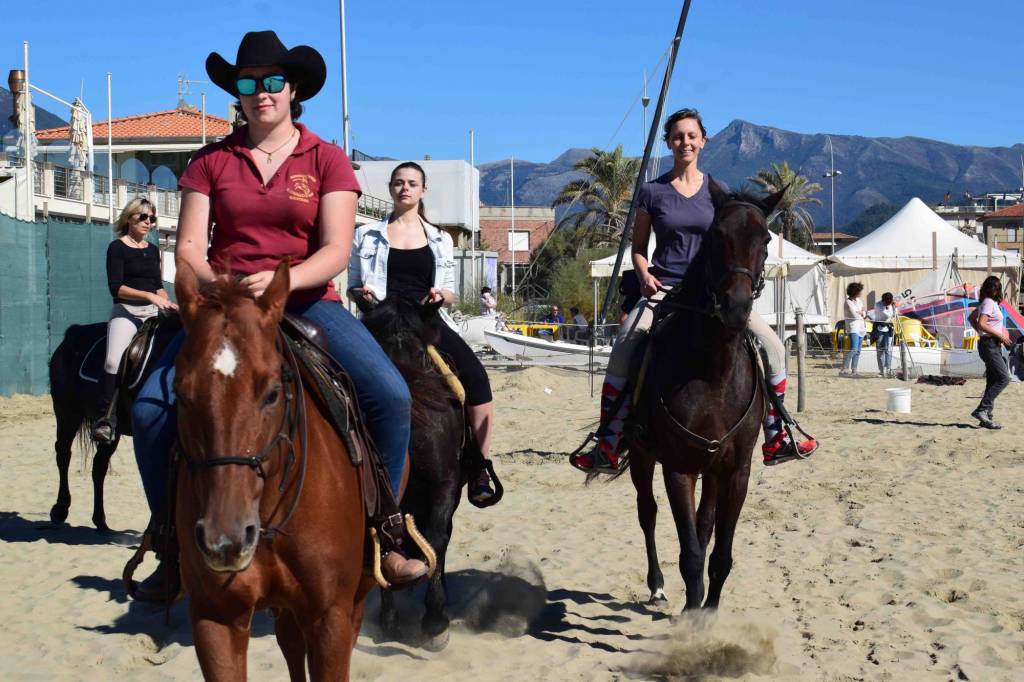 cavallo tour 1