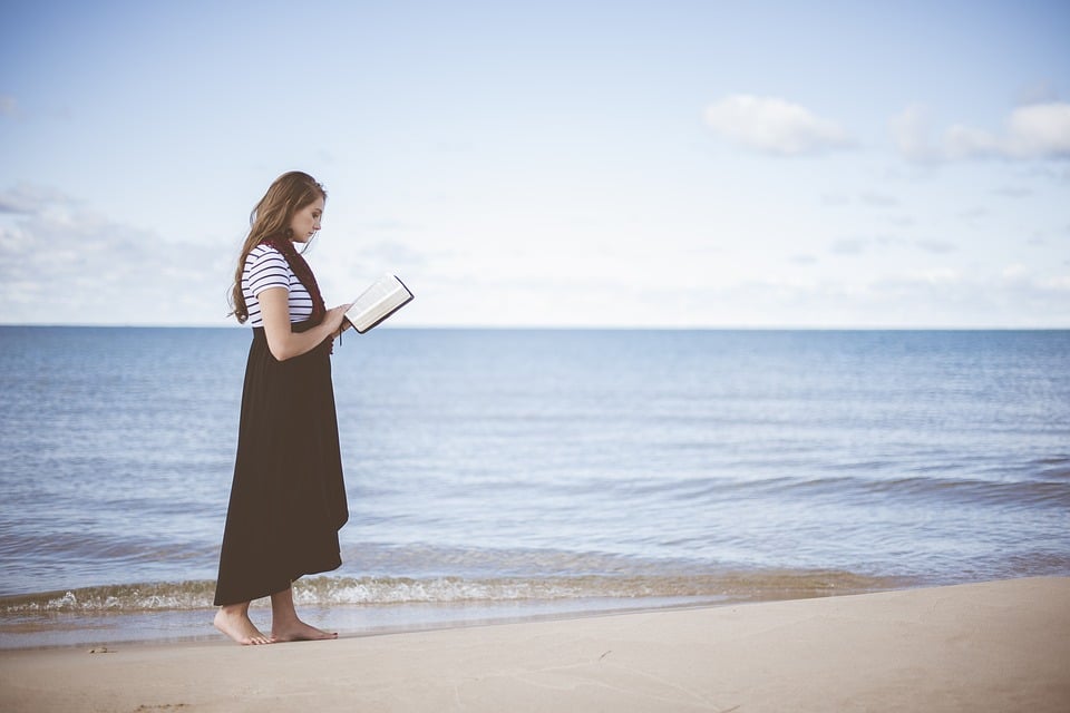 Arriva la “Festa del Libro” a Lido di Camaiore