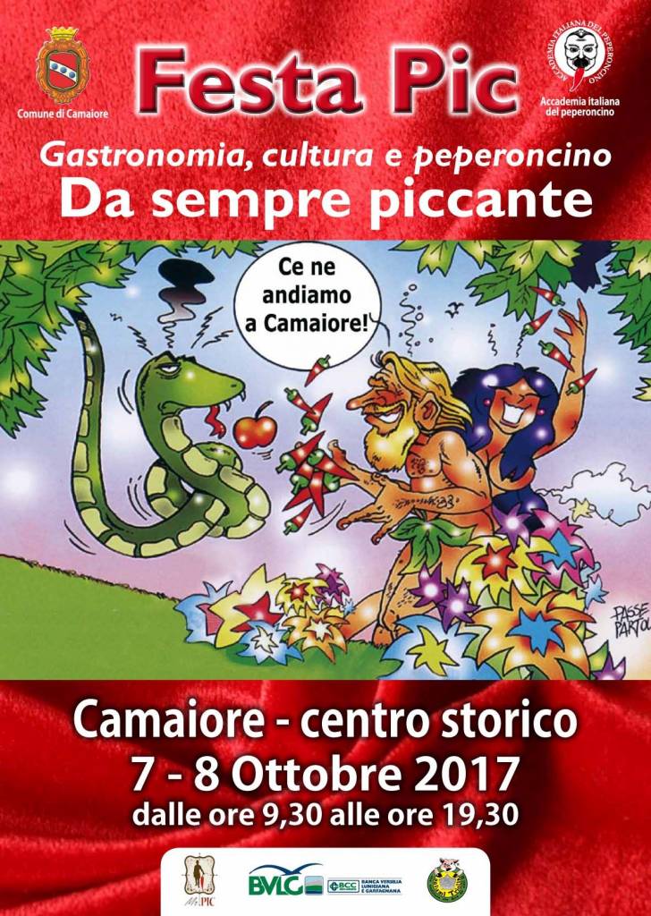 locandina festa pic 2017