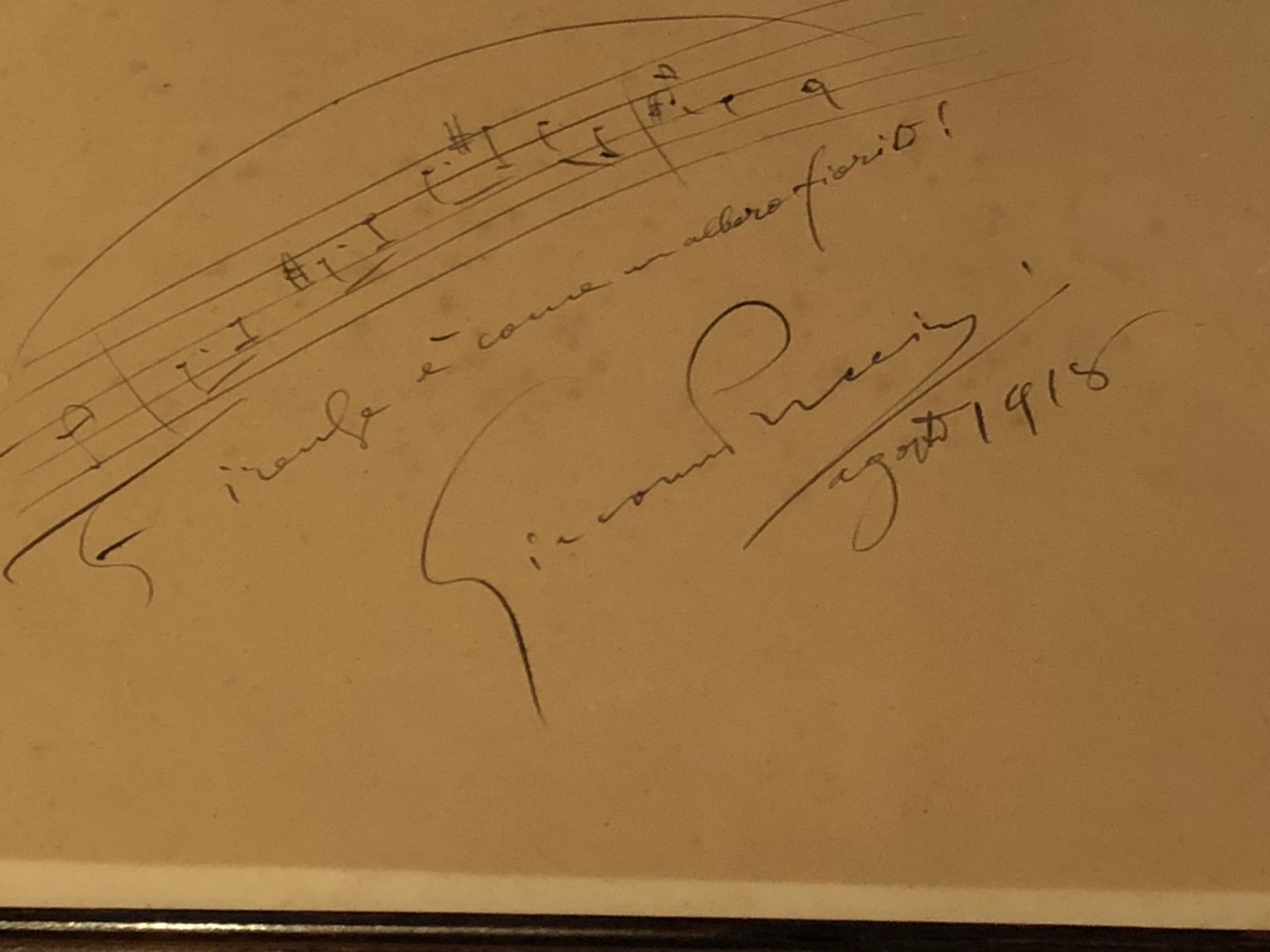Fondazione Giacomo Puccini