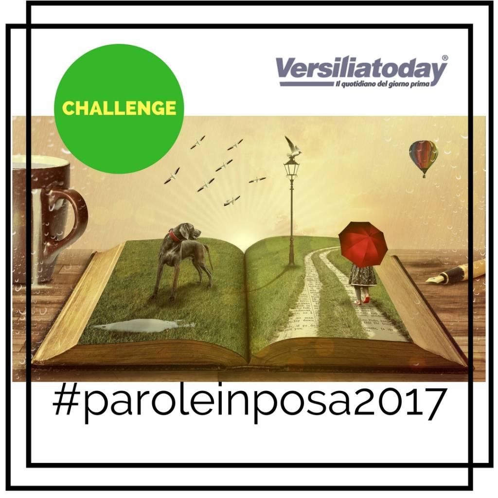 challenge fotografico