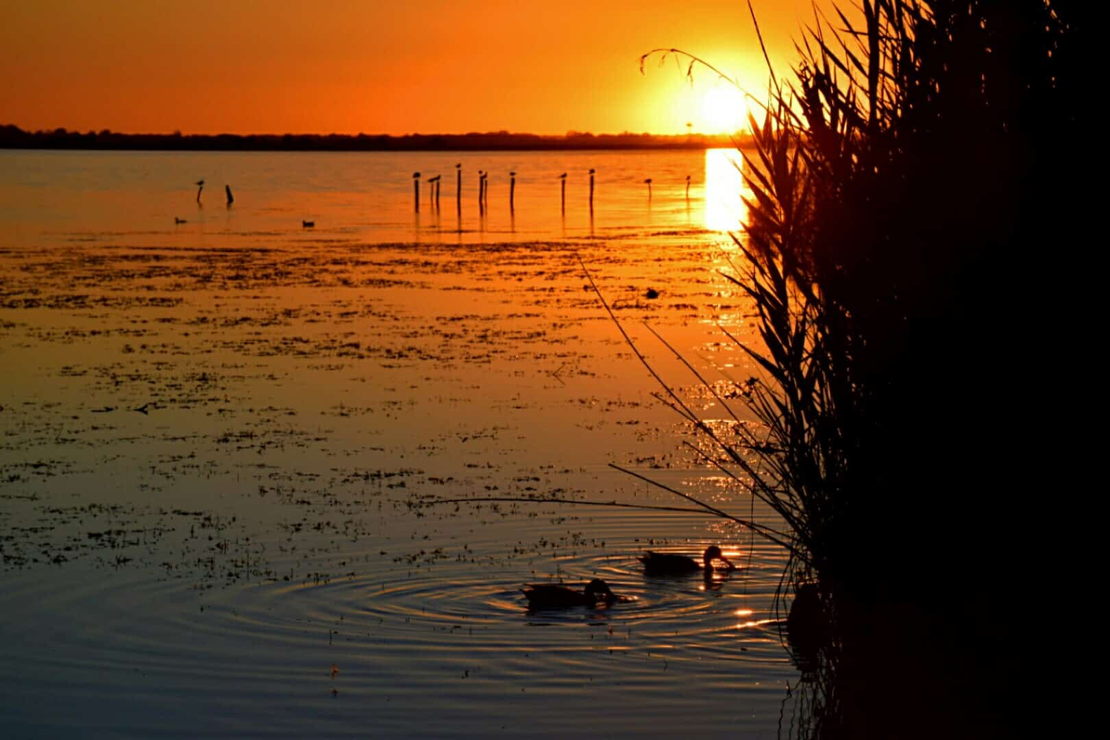 Partirà finalmente la progettazione definitiva dell’opera che permetterà di salvaguardare il lago di Massaciuccoli