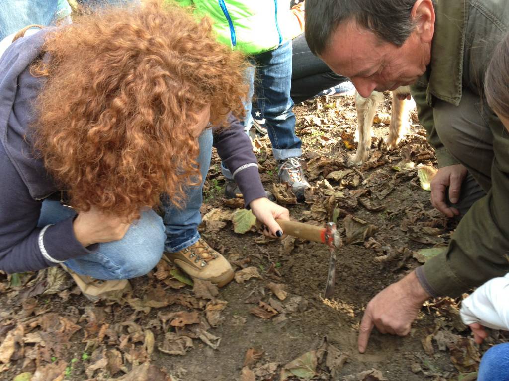 voglia di tartufo tartufo - la ricerca