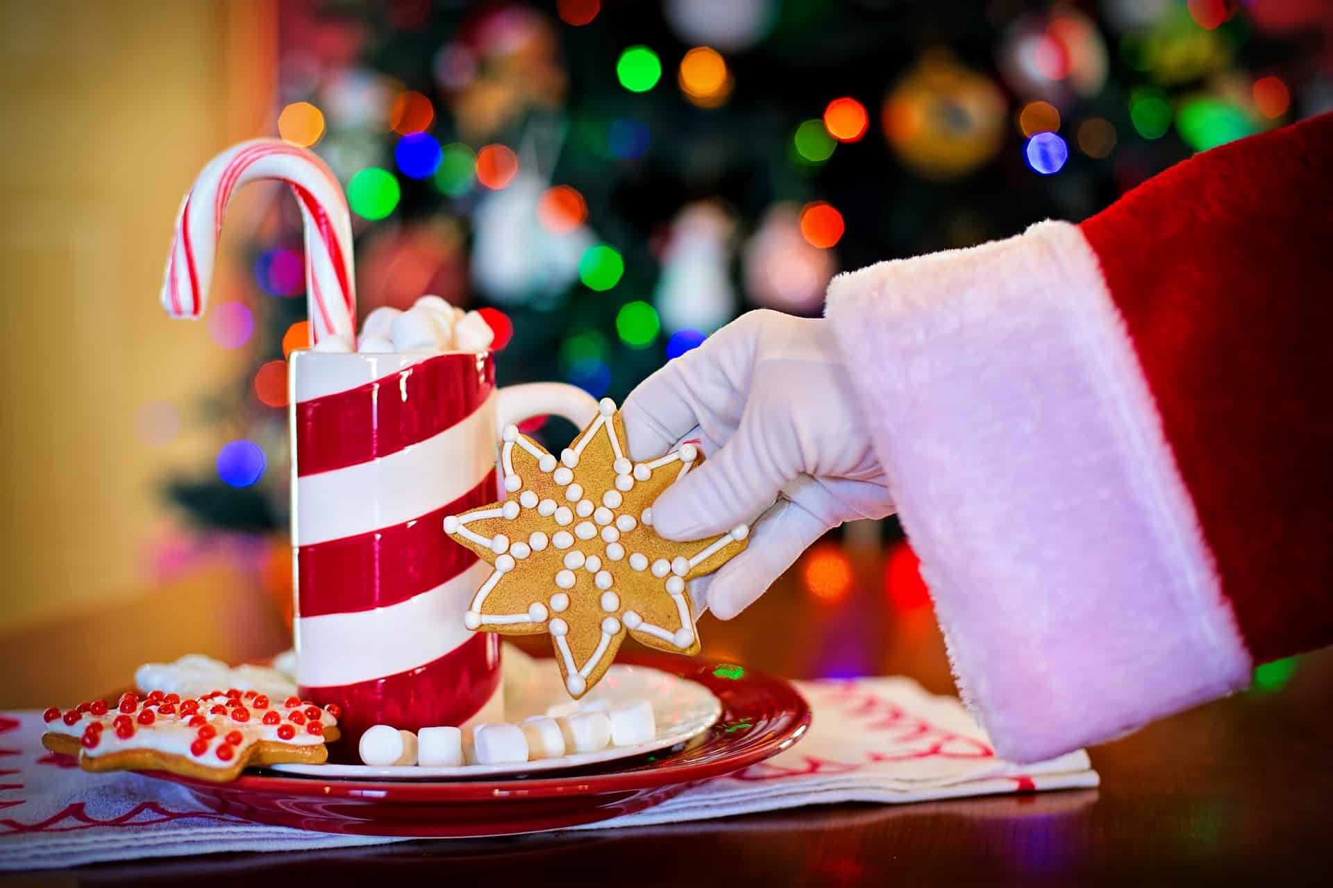 Cena di Natale per le famiglie bisognose della Versilia