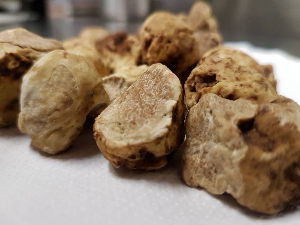 voglia di tartufo bianco