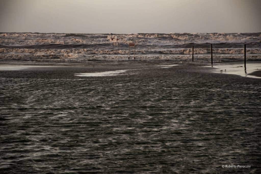 mare