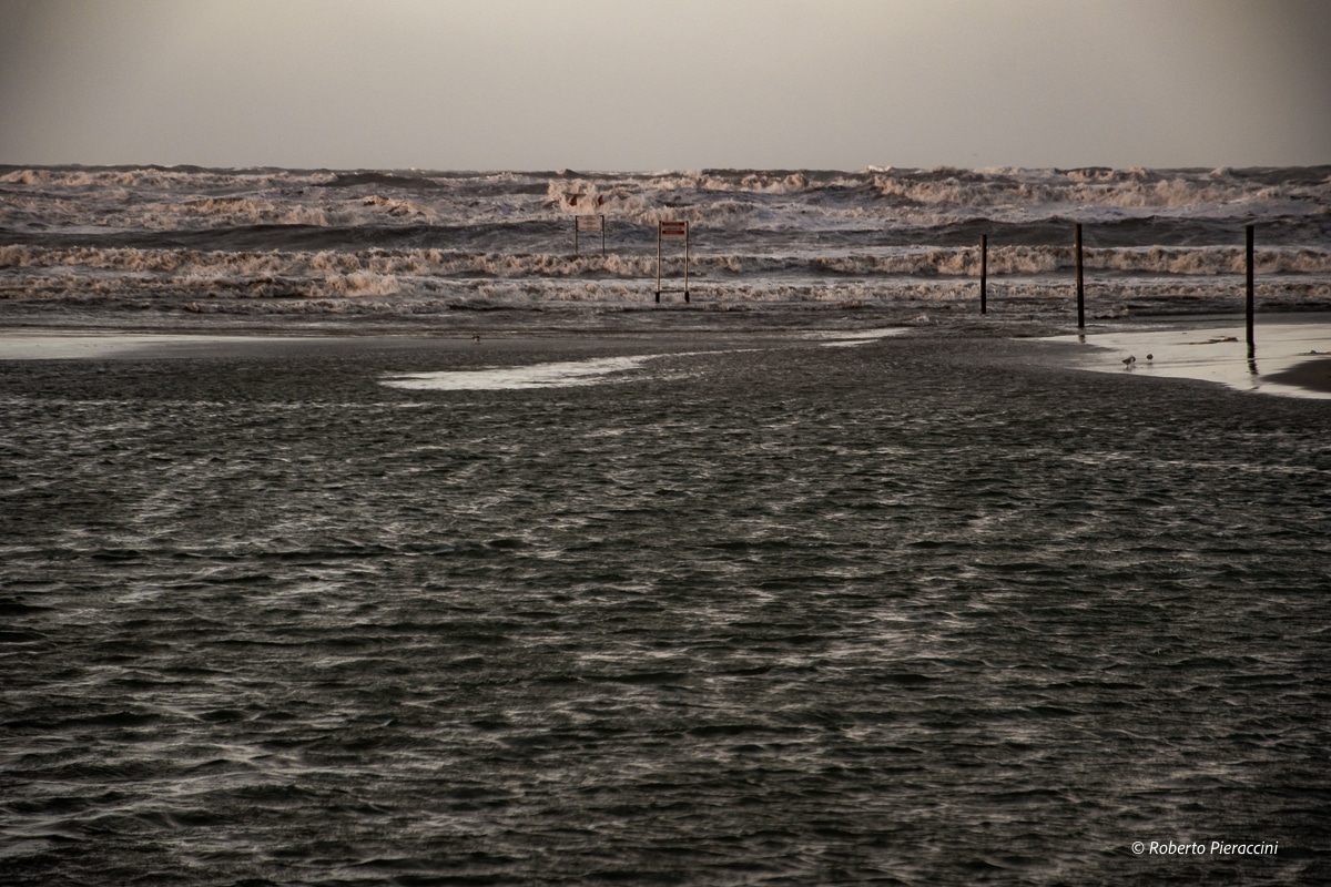 mare