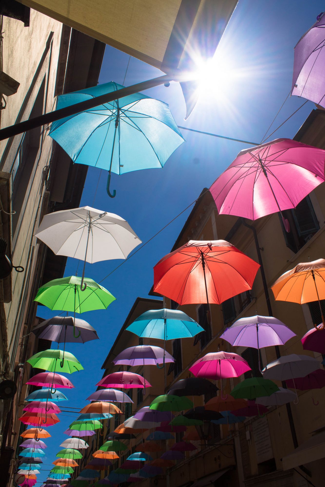 Gli ombrelli di Pietrasanta