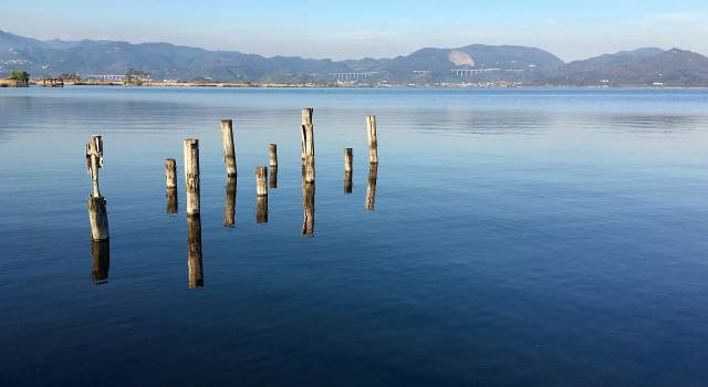 &#8220;Chi vuole veramente un Contratto per il Lago di Massaciuccoli?&#8221;