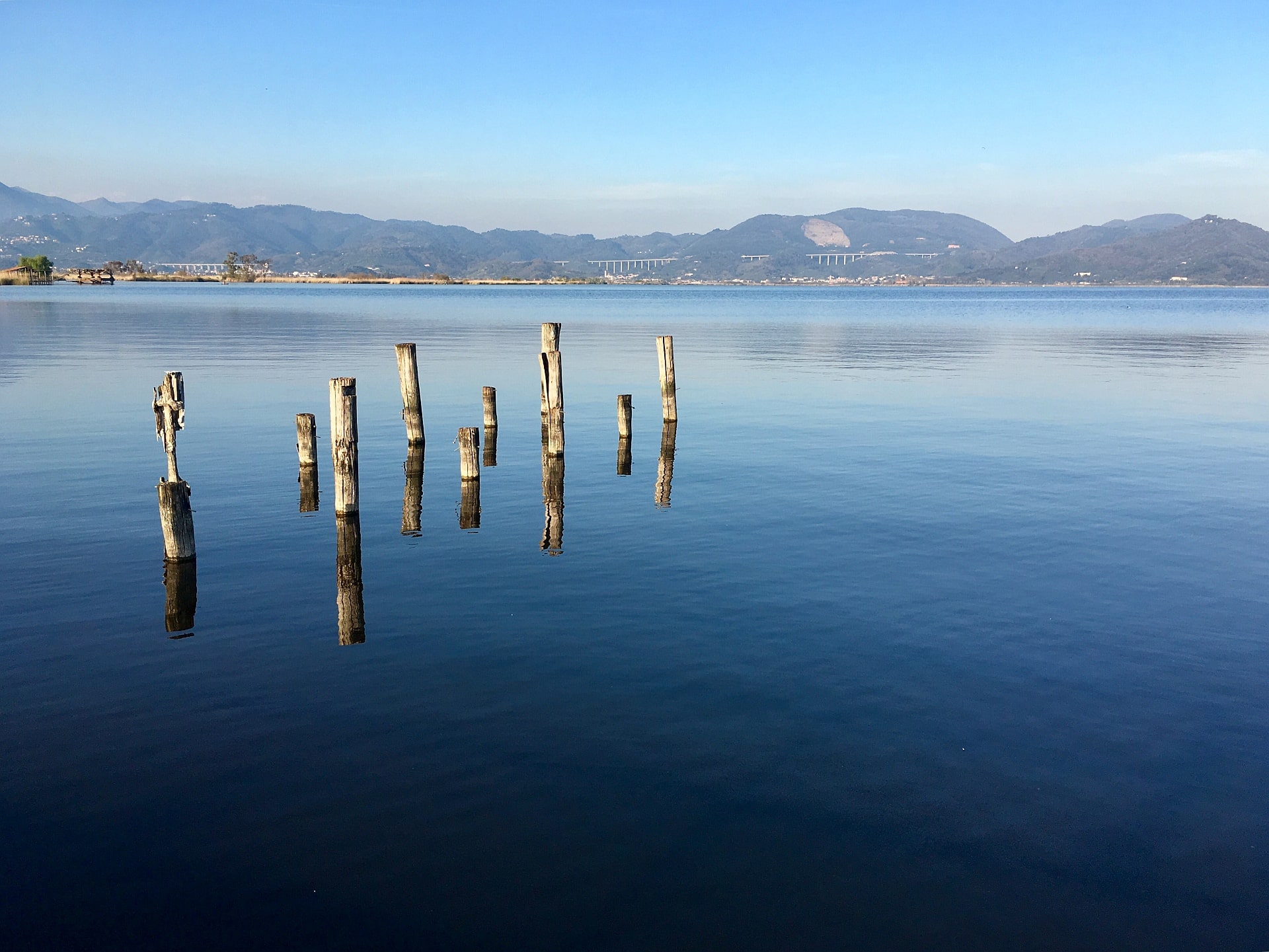 “Chi vuole veramente un Contratto per il Lago di Massaciuccoli?”