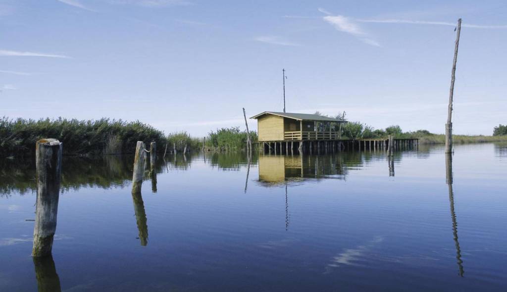 massaciuccoli un lago da salvare 7_12_17