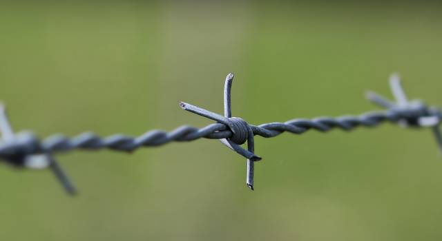 &#8220;Il razzismo oggi ancora esiste, anche a scuola e tra i giovani&#8221;. La voce degli studenti del Treno della memoria