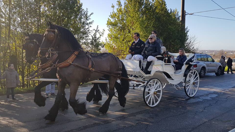 Boom di partecipanti alla Benedizione degli animali