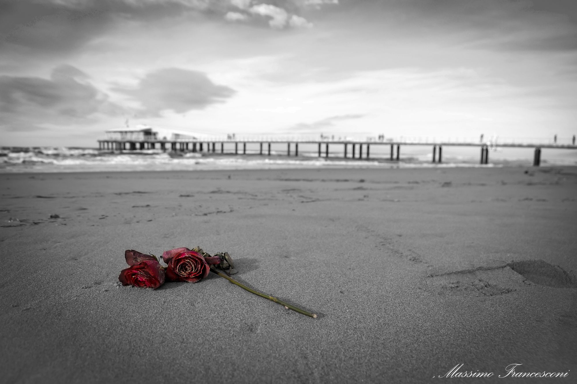 La rosa sulla sabbia