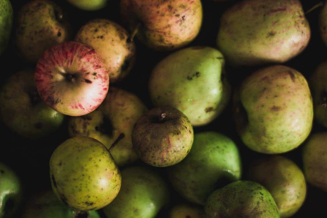 Coldiretti: siccità mette a rischio il 30% delle produzioni agricole