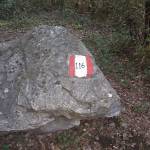 inizio del 116