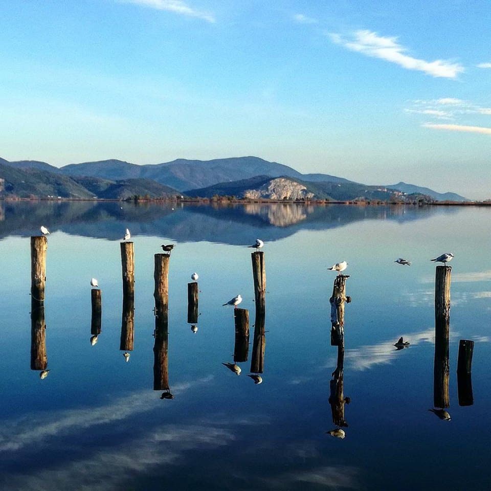 Alga spirulina per salvare lago Puccini