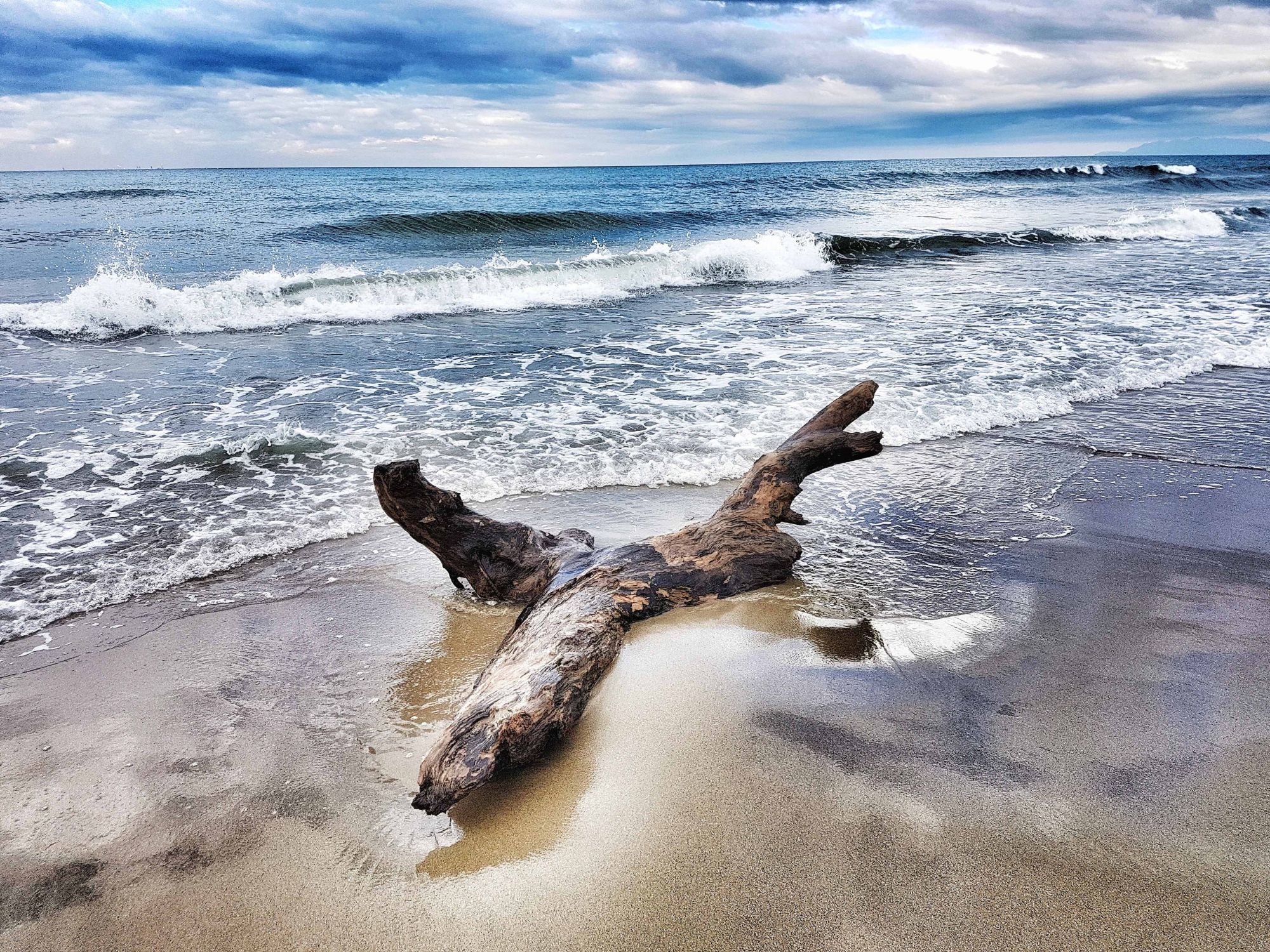 Anche Viareggio revoca l’ordinanza di divieto di balneazione