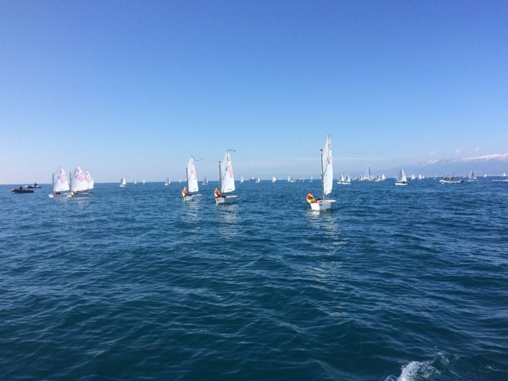optimist della Scuola Vela Valentin Mankin in regata