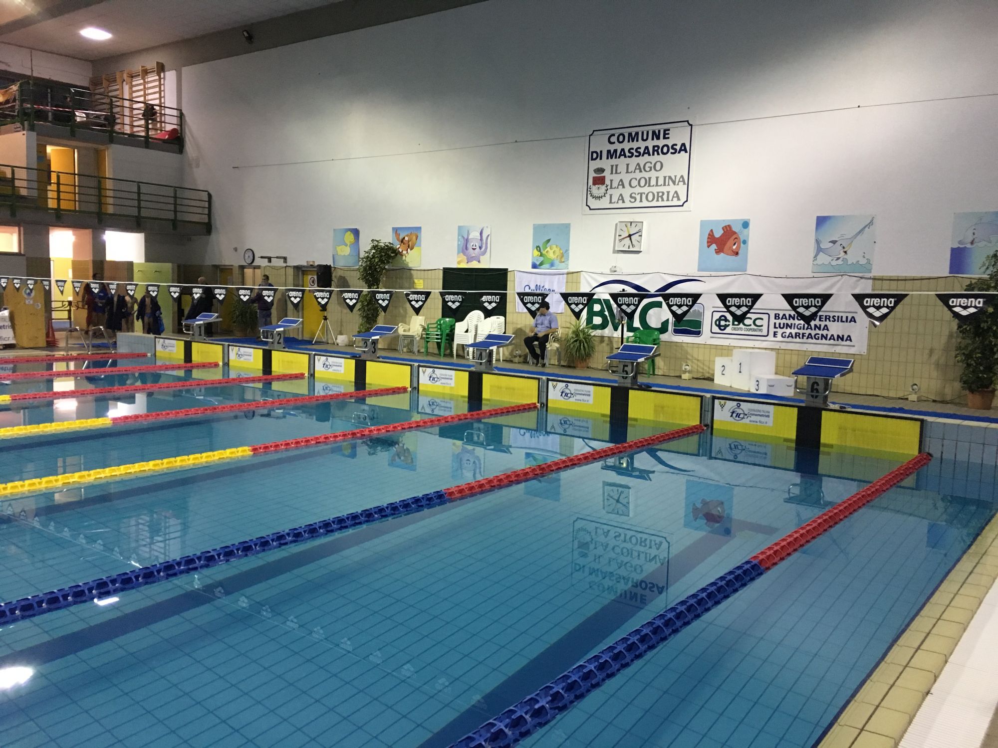 VI trofeo Massarosa nuoto per gli esordienti nella Piscina Comunale G. Frati