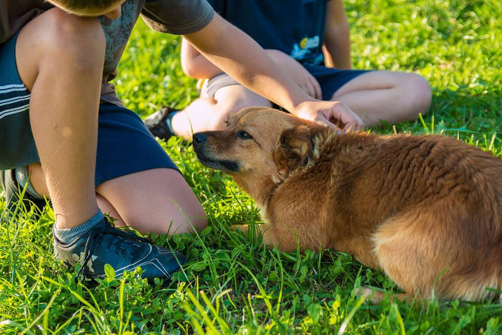 bambini-e-cani