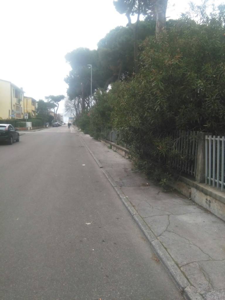 Defeca nel giardino della scuola