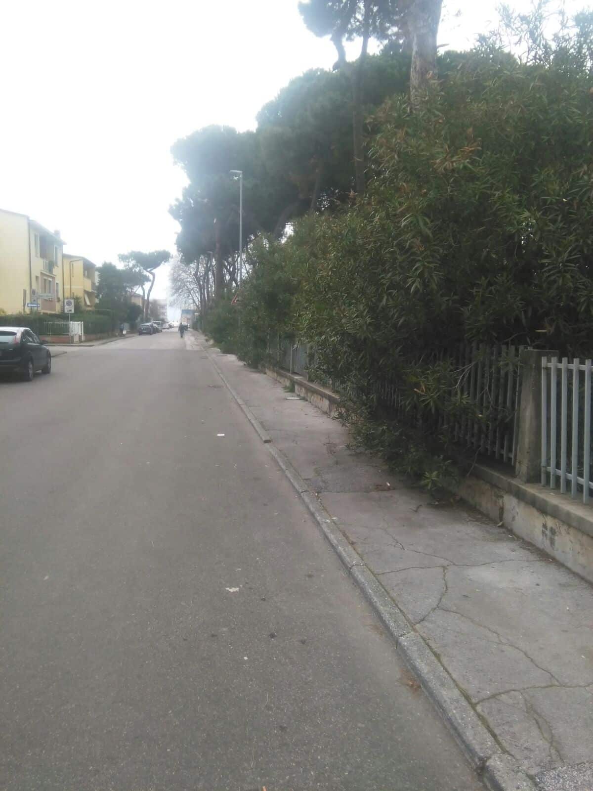 Defeca nel giardino della scuola