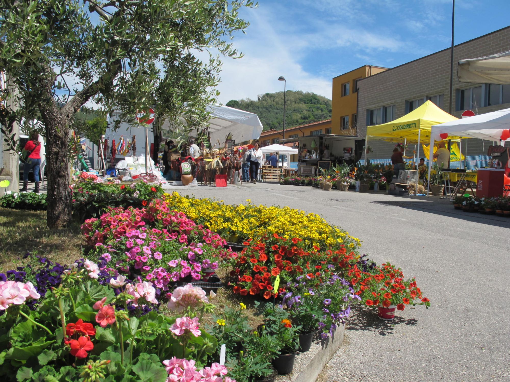 Mostra Agrozootecnica rinviata per l’estate