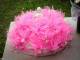 IMG 20160829 WA0005